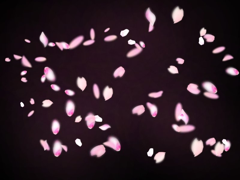 Лепесток Сакуры