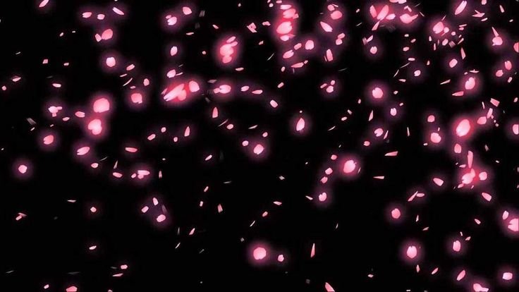 Лепесток Сакуры