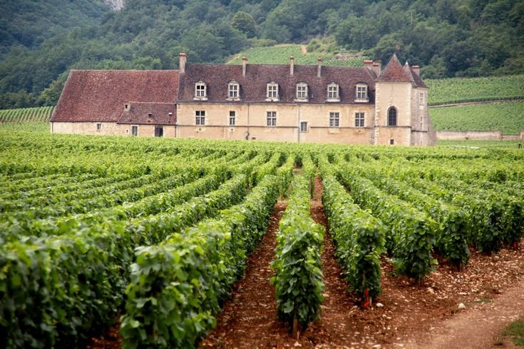 Сельскохозяйство Франции