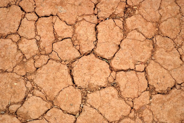 Почва текстура