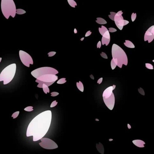 Лепесток Сакуры