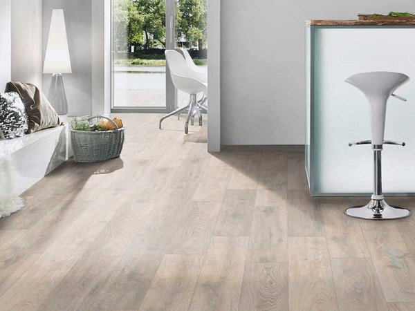 Дуб пустынный 8199