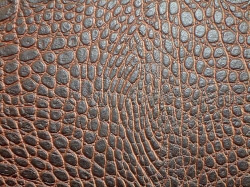 Кожа рептилий