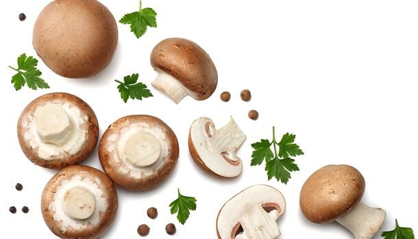 Шампиньон в разрезе на белом фоне