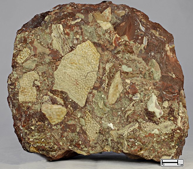 Брекчия Горная порода