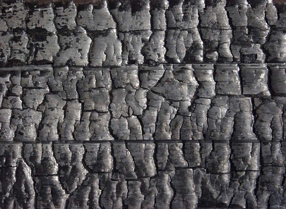 Текстура сгоревшего дерева