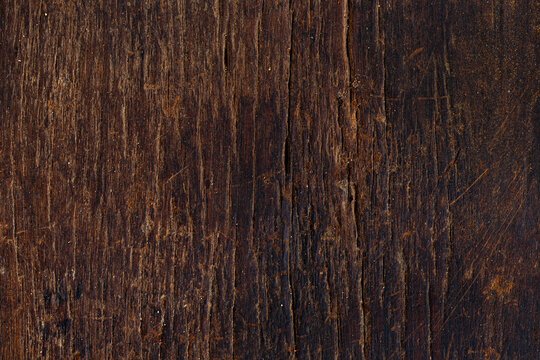 Морёный дуб шпон Alpi