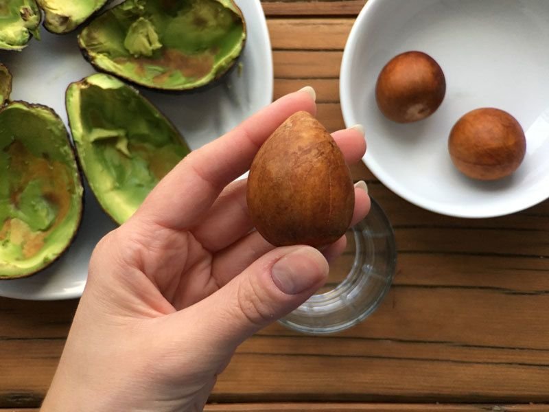 Косточка авокадо