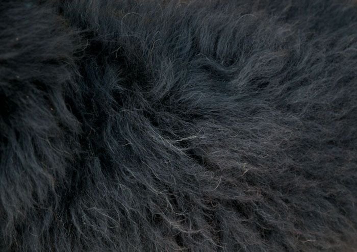 Черная шерсть