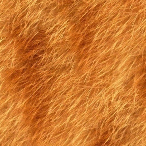 Рыжая шерсть