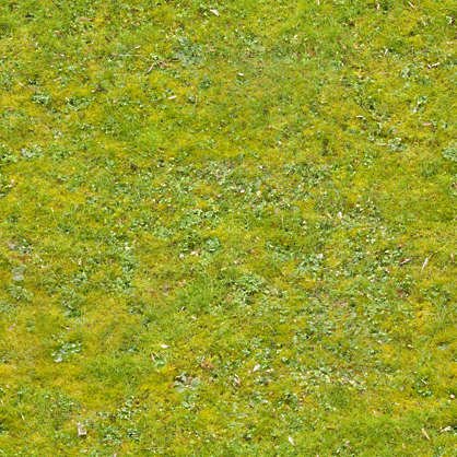 Текстура травы бесшовная