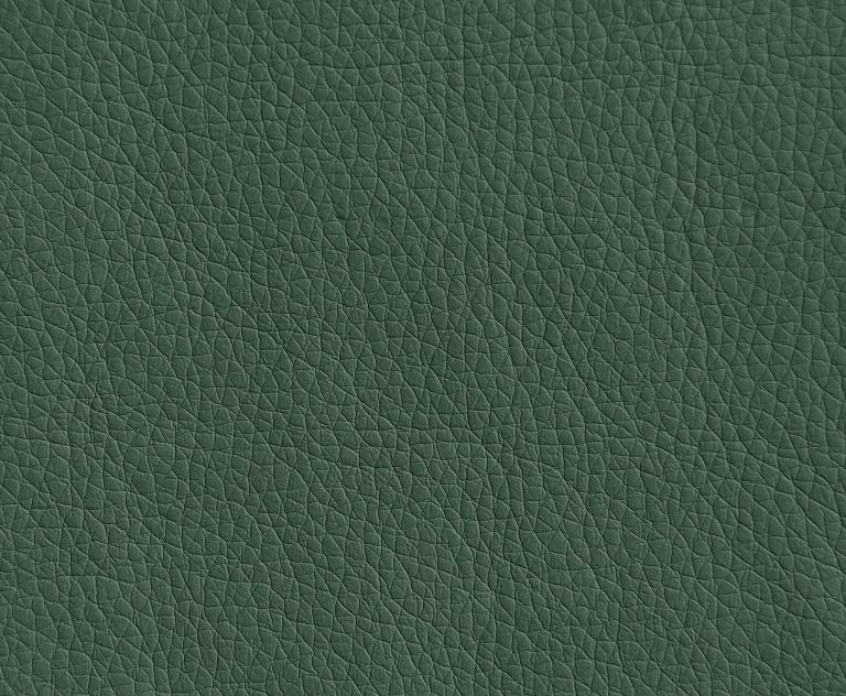 Кожзам Орегон Союз-м цвета