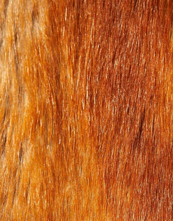 Мех лисы текстура