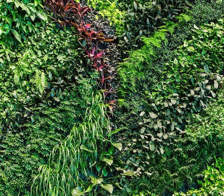 Патрик Блан фитостена