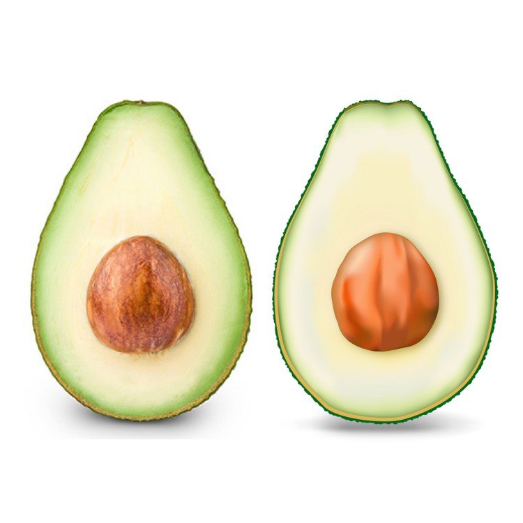 Авокадо референс
