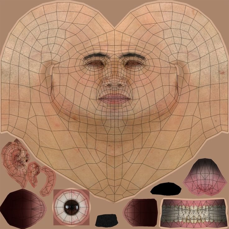 UV развертка лица