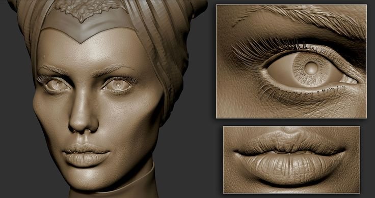 Анатомия 3д скульпт