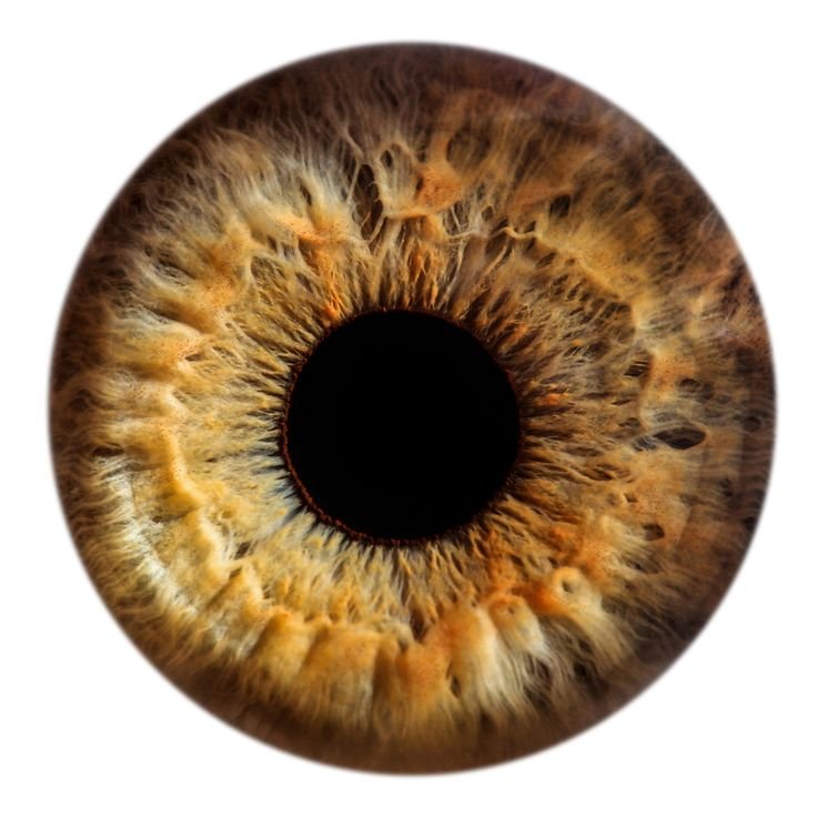 Карий зрачок