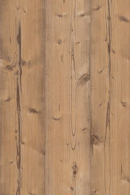 Пихта Брамберг