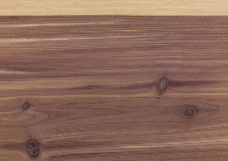 Ель текстура древесины