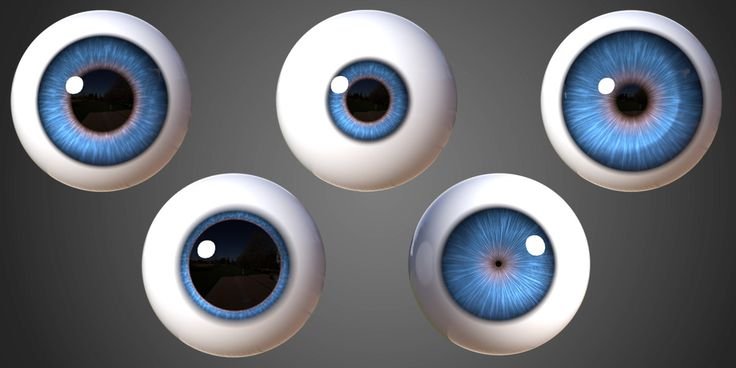 Радужка глаза