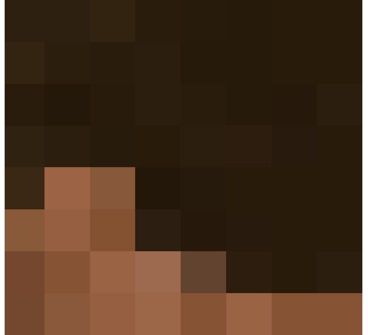 Голова Стива