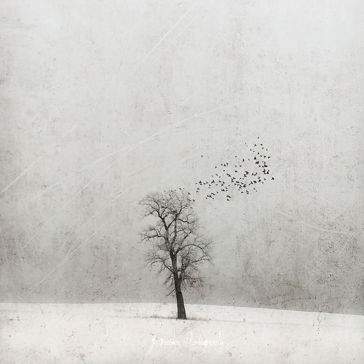 Минимализм картины художников