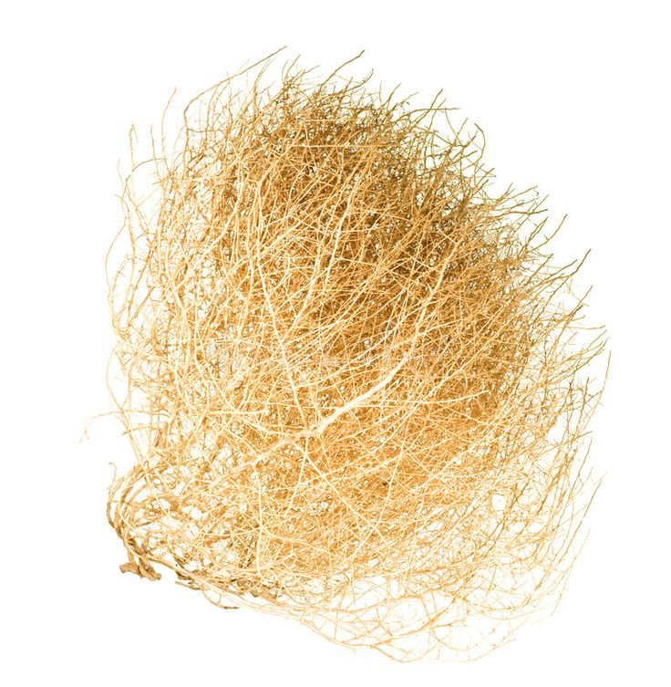 Перекати-поле растение