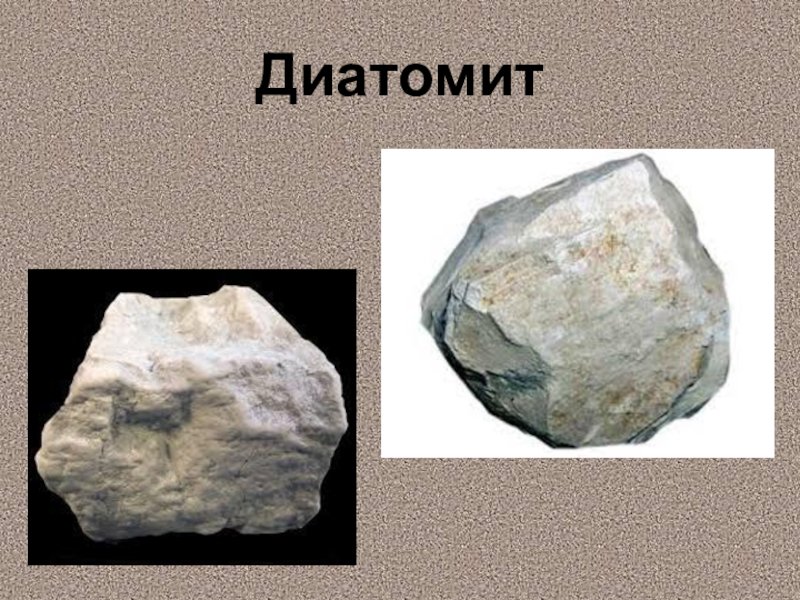 Диатомит Горная порода