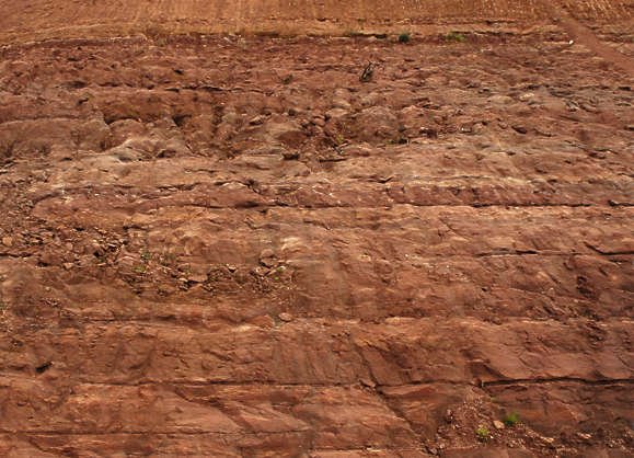 Супесь лессовидная