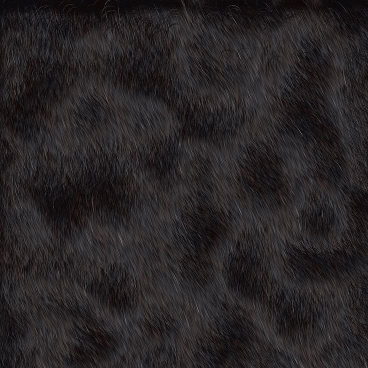 Шкура текстура