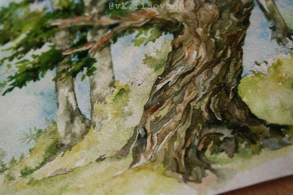 Деревья акварелью