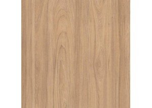 швейцарский вяз