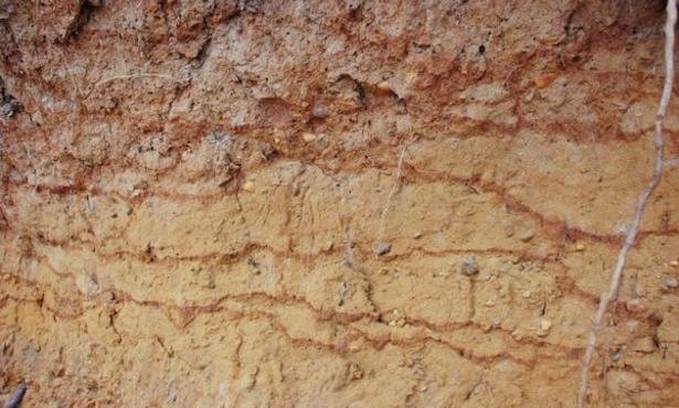 Лессовидные суглинки