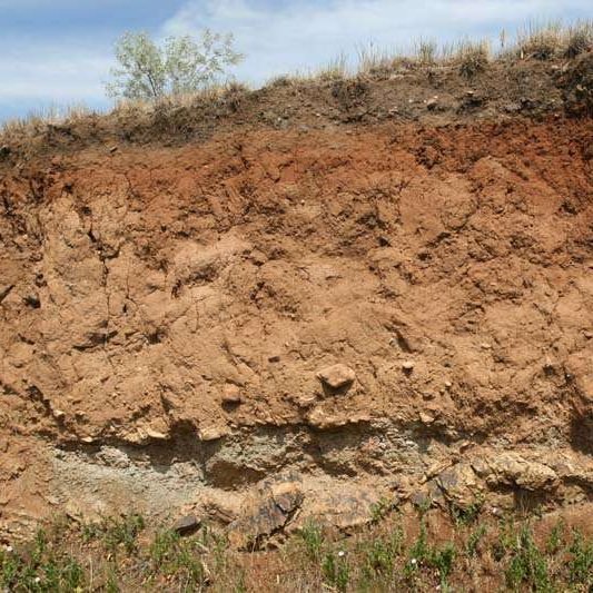 Светло-каштановыми почва Астраханской