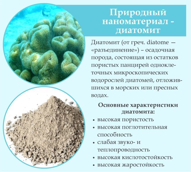 Диатомит осадочная порода