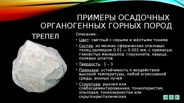 Трепел Горная порода