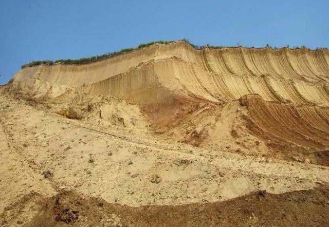 Супесь лессовидная