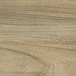 Вяз швейцарский ЧФМК