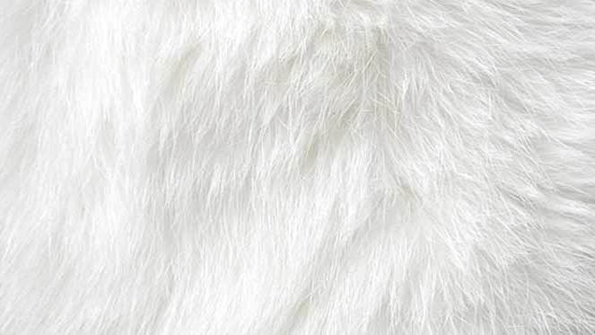 Белый мех