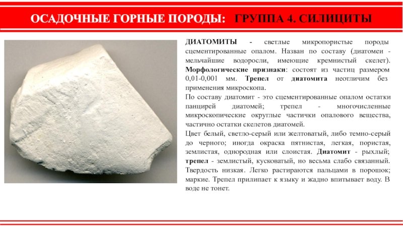 Диатомит осадочная порода