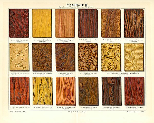 Древесина разных пород деревьев