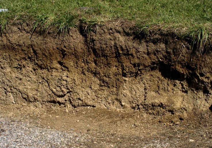 Дерново луговые почвы