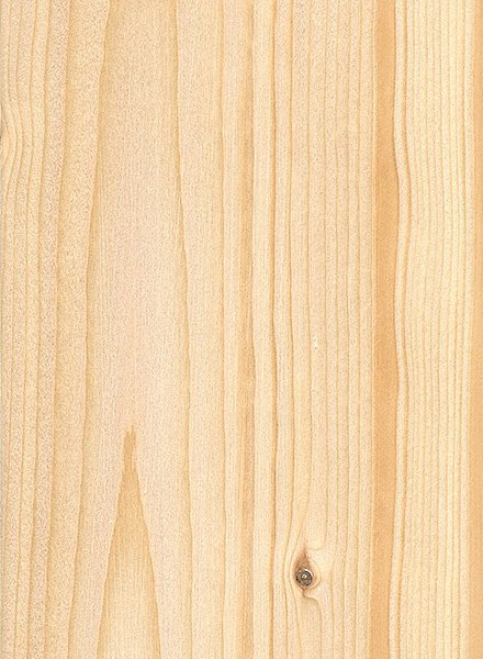 Текстура ели древесины