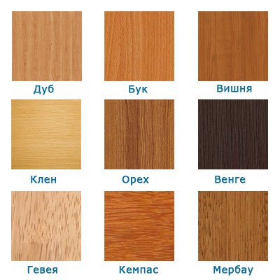 Цвет древесины разных пород