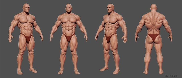 Культуристы референсы