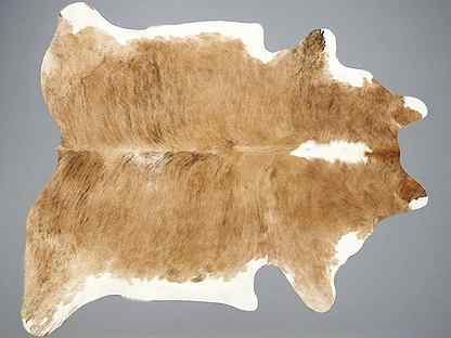 Шкуры животных