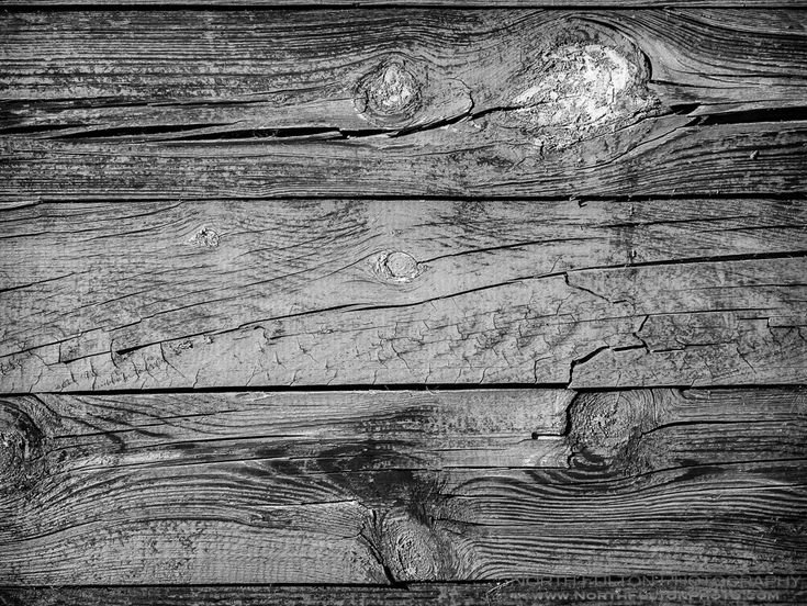 Текстура дерева