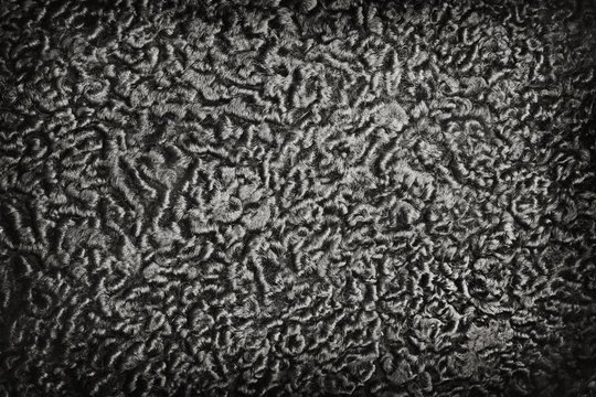 Каракуль фактура