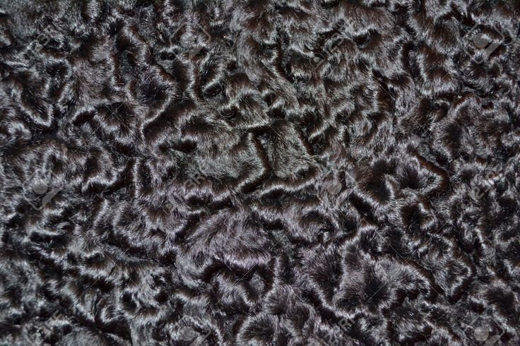Шерсть каракуль